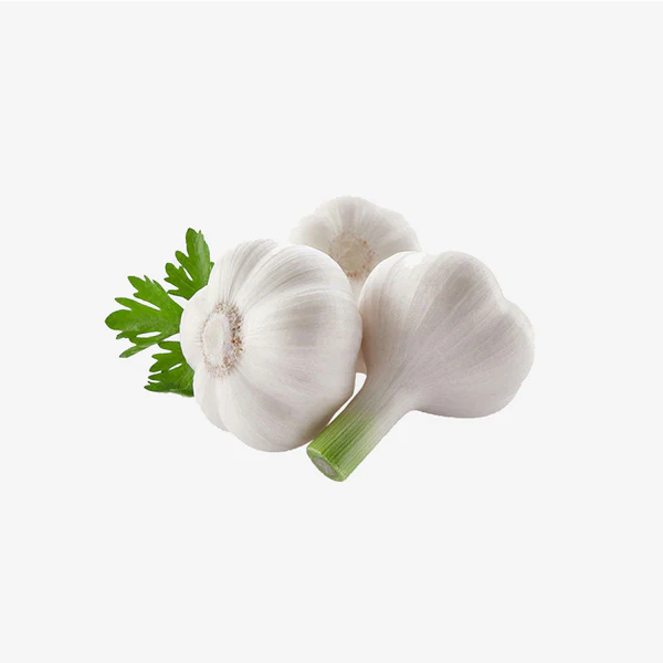 Garlic / Poondu